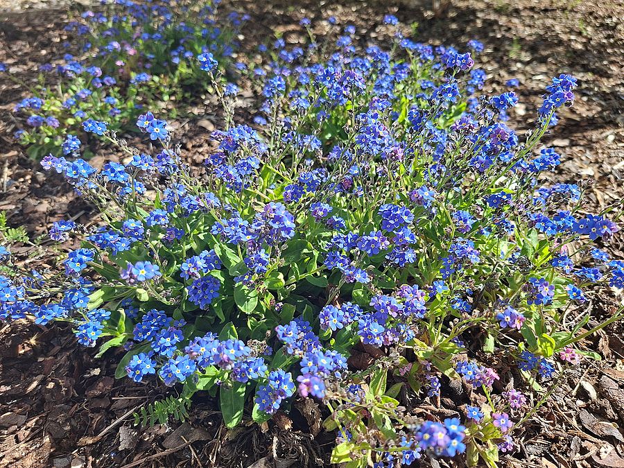 Zeichen der Erinnerung und Menschlichkeit Zeichen der Erinnerung und Menschlichkeit