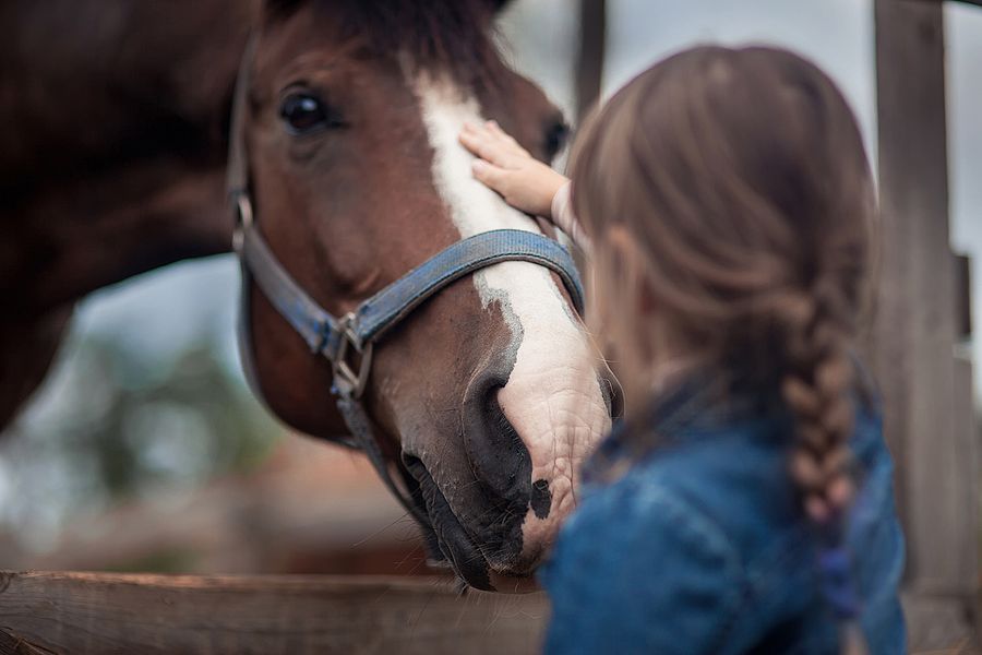 Reittherapie Kind streichelt ein Therapiepferd am Kopf