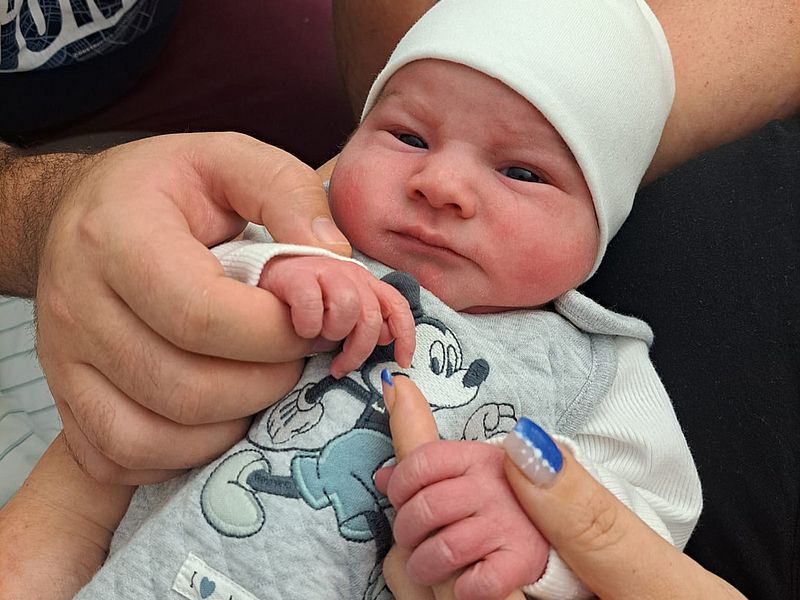 Neues Leben zum Jahreswechsel